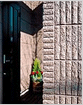 img3.gif